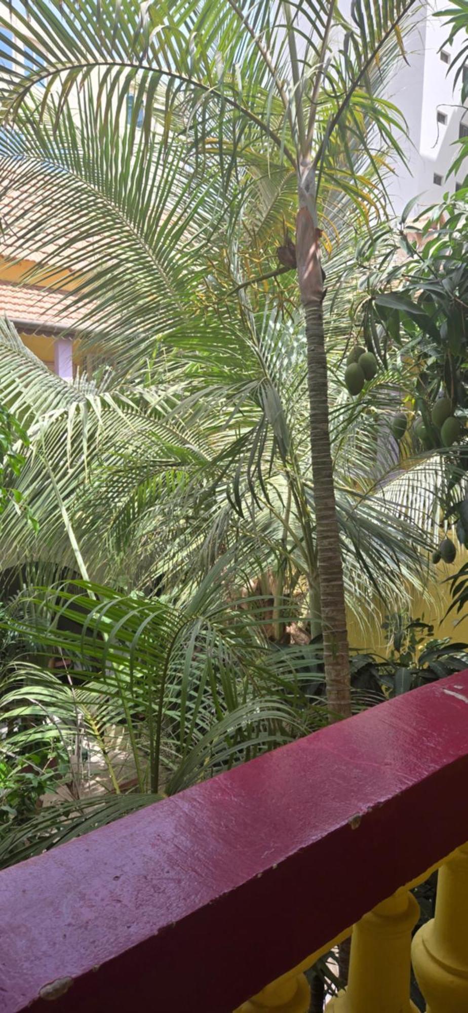 Hotel Saint-Louis Sun Дакар Экстерьер фото
